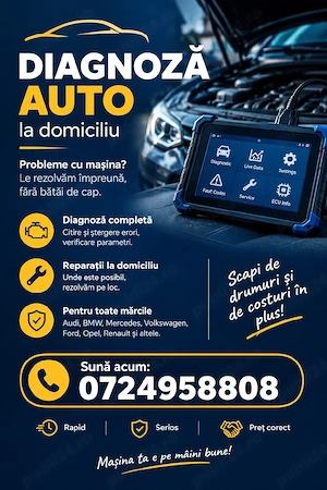 Tester Auto Diagnoza pe loc