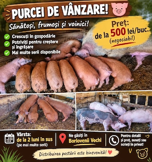 vand purcei 