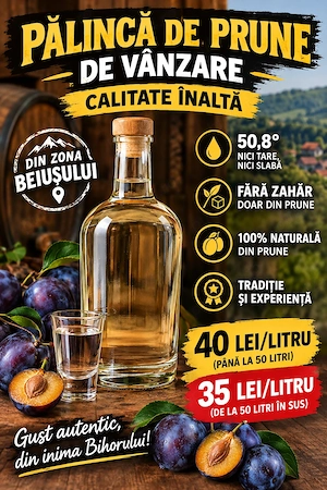 Pălincă de prune de calitate înaltă   zona Beiușului