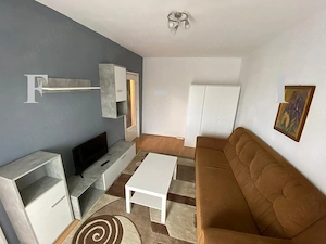 Garsoniera confort 1 zona 300 Micalaca - imagine 2