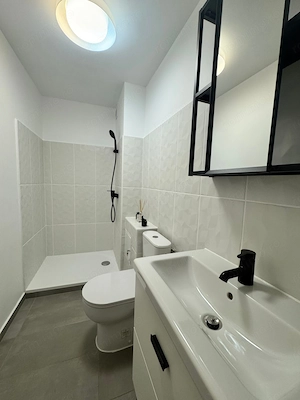 Complex Studentesc, Ideal investitie, Renovat complet - imagine 5