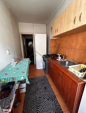 Apartament 1 camera Pcaurari - imagine 4