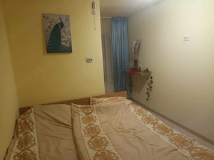 Închiriez cabana Buscat Crăciun Revelion - imagine 2