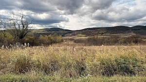 teren berca joseni buzau