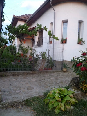 Casa la tara  cu livada - imagine 4