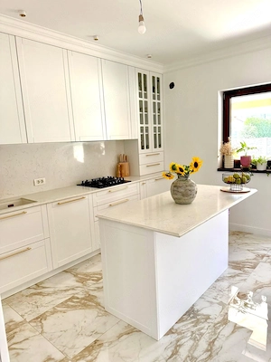 Duplex premium | 130 mp | 410 mp teren | Chișoda | 370.000 €