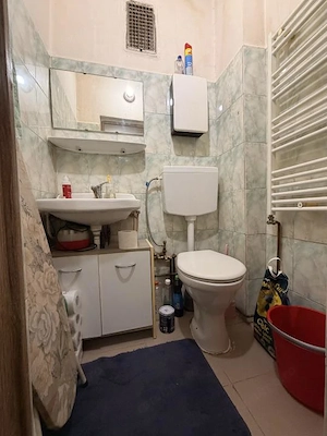 Apartament 3 camere, la casa, 178 mp utili, curte comuna, parter-Modern - imagine 9