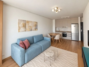 Apartament 2 camere de inchiriat Adora Park - imagine 3