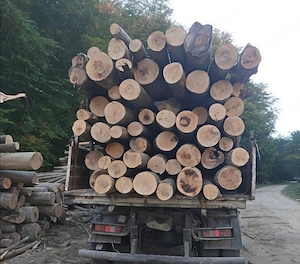 Lemn de foc în lung