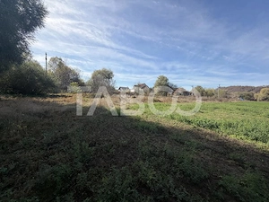 Teren extravilan 7200 mp cu utilitati  168 m latime zona Livezii - imagine 2