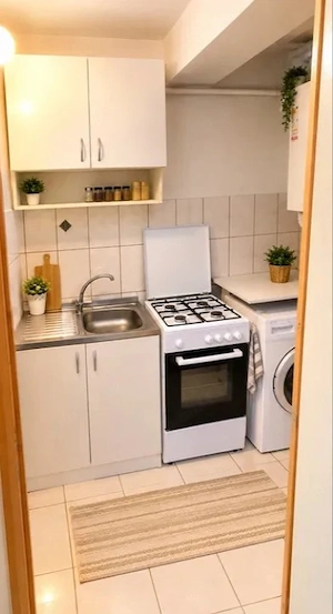 Apartament cu 1 camera in Tudor Vladimirescu - imagine 2