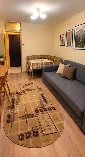 Apartament cu 1 camera in Tudor Vladimirescu - imagine 5