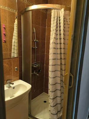 Garsoniera de inchiriat   Zona Aradului str Felix - imagine 5