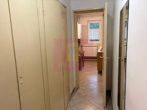 Apartament 2 camere Drumul Taberei- Posta. - imagine 7