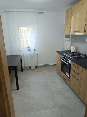 Apartament 3 camere parter C.R.Vivu - imagine 6