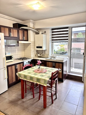 Proprietar- apartament 2 camere zona Iulius Mall, Fsega, Stdium Green - imagine 3
