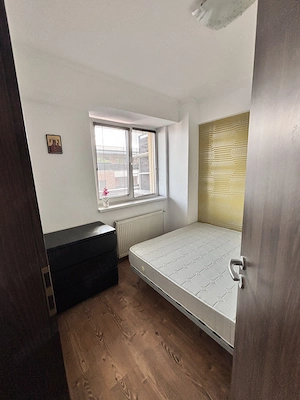 Proprietar- apartament 2 camere zona Iulius Mall, Fsega, Stdium Green - imagine 6