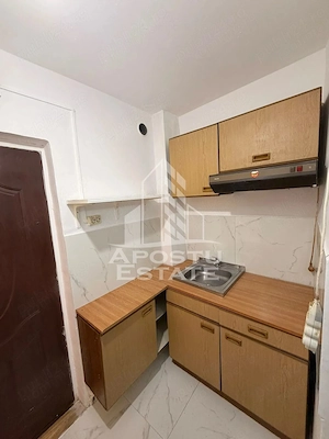 APARTAMENT CU 1 CAMERA DE INCHIRIAT CALEA BUZIASULUI - imagine 3