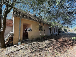 Se vinde! Casa de caramida cu Teren 4431 MP in RUSENI la 10km>SM - imagine 2