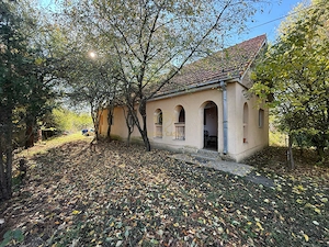 Se vinde! Casa de caramida cu Teren 4431 MP in RUSENI la 10km>SM - imagine 10