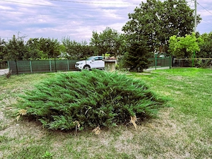 Casa si teren in Agafton_Curtesti, Botosani - imagine 3