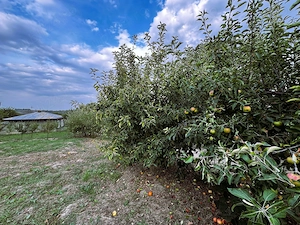 Casa si teren in Agafton_Curtesti, Botosani - imagine 5