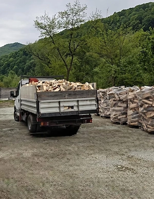 Lemne de foc de fag tăiate și despicate 