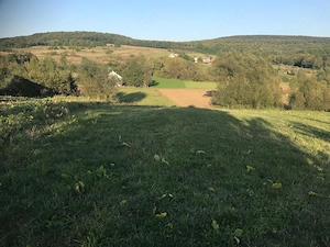 Vând 2500 mp teren intravilan Greațca Călinești com. Dărmănești Suceava - imagine 3