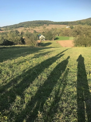 Vând 2500 mp teren intravilan Greațca Călinești com. Dărmănești Suceava - imagine 4