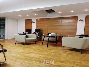 Inchiriere spatiu de birouri - Herastrau - 350 mp - imagine 6