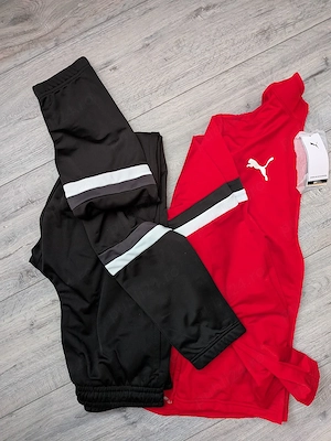  trening Puma Team Rise, 