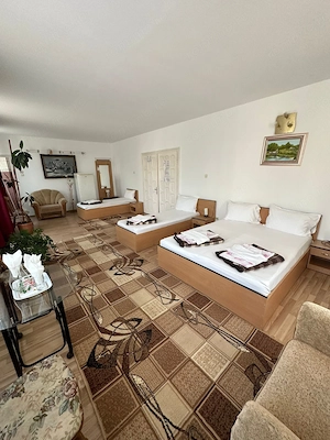 Afacere la cheie ,Vila  Diana-Deva - imagine 5