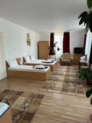 Afacere la cheie ,Vila  Diana-Deva - imagine 6