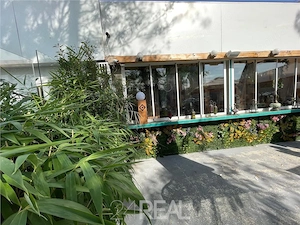 Spatiu comercial - oportunitate de Investitie - Zona Parcul Herastrau - imagine 9