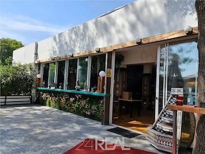 Spatiu comercial - oportunitate de Investitie - Zona Parcul Herastrau - imagine 10