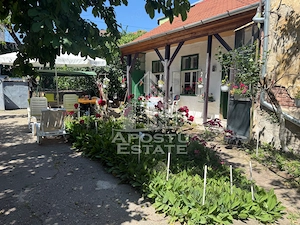 Două case de vânzare în aceeași curte zona Maria