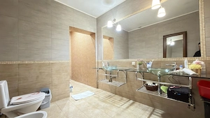 Casa individuala P+E+M cu 7 camere, garaj 140mp, 1084mp teren - Timisoara - imagine 7