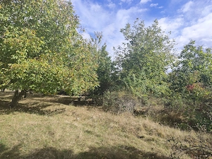 Teren in localitatea Tufeni - imagine 3