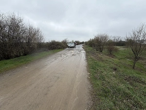 Vând teren intravilan   2.500 mp   Periș, sat Brătulești, județul Ilfov - imagine 2
