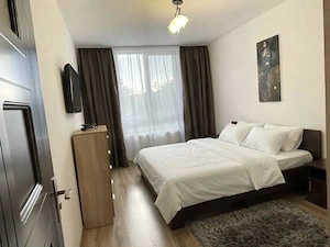 Apartament 2 camere Semicentral - pet friendly - Platinia Dorobantilor - The Office - imagine 4
