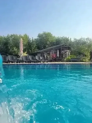 restaurant, piscina, street food