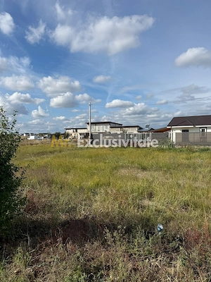 TEREN INTRAVILAN 3 LOTURI | 1.334 MP | BRADU | POTENȚIAL INVESTIȚIONAL - imagine 3