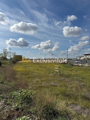 TEREN INTRAVILAN 3 LOTURI | 1.334 MP | BRADU | POTENȚIAL INVESTIȚIONAL - imagine 5