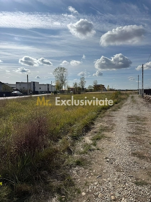 TEREN INTRAVILAN 3 LOTURI | 1.334 MP | BRADU | POTENȚIAL INVESTIȚIONAL - imagine 4