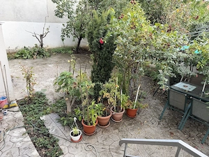 Vând apartament cu 3 camere, situat la parterul unui imobil construit în anul 2014, zona Dămăroaia - imagine 6