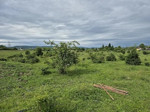 Teren intravilan | 2900mp | Investitie | strada Dumbrava Rosie Dej - imagine 3
