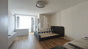 Apartament o camera de inchiriat, petfriendly, zona Circumvalatiunii - imagine 3