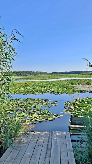 Teren Lac Snagov - imagine 3