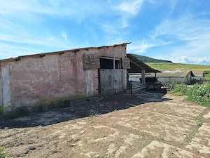 Saivan funcțional, 1.750 mp construiți, ideal pentru creșterea animalelor - imagine 4