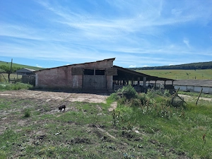 Saivan funcțional, 1.750 mp construiți, ideal pentru creșterea animalelor - imagine 7